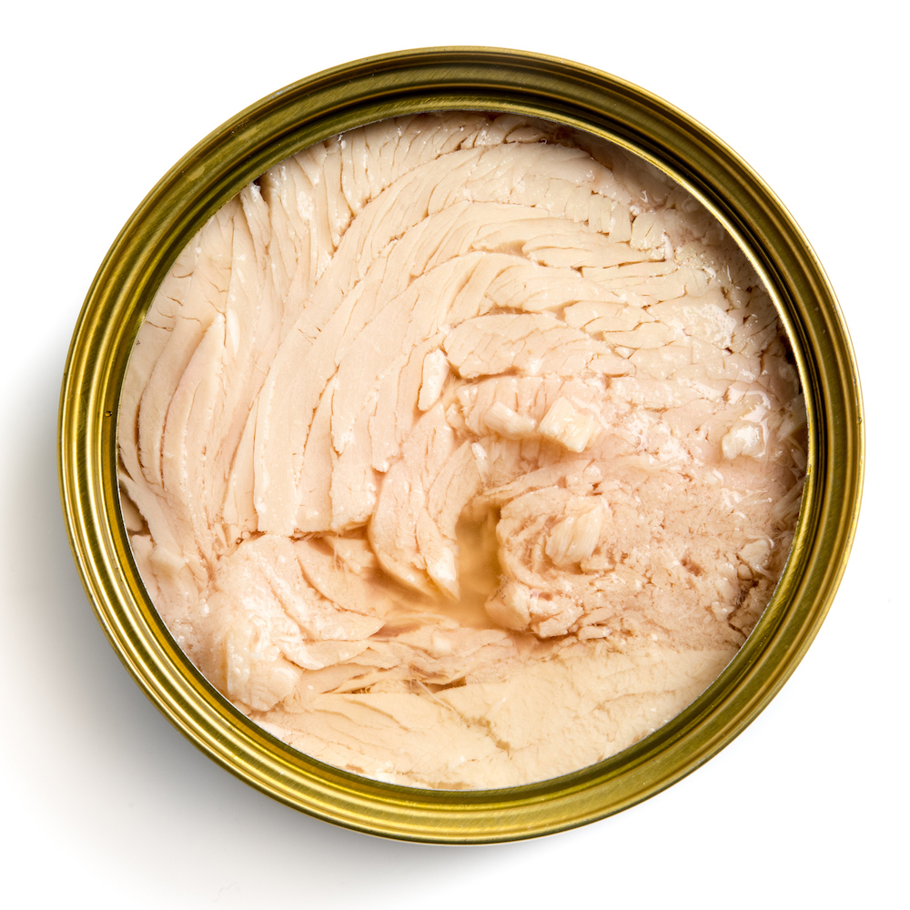 Open Can of White meat tuna in water from above on white background