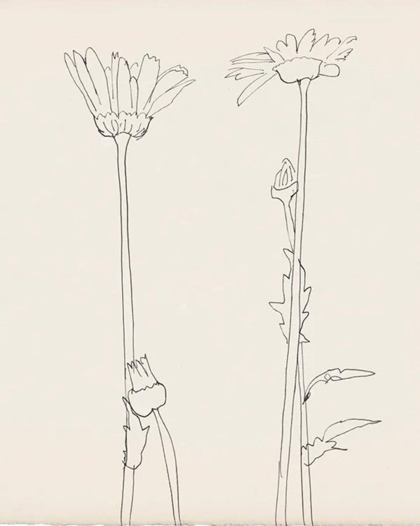 Ellsworth Kelly, Two Daisies, 1983 | © Ellsworth Kelly Foundation