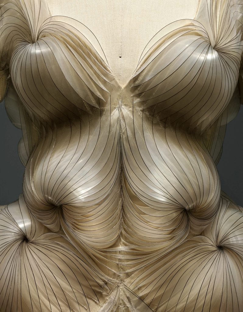 Iris van Herpen, Dress Spring, 2012