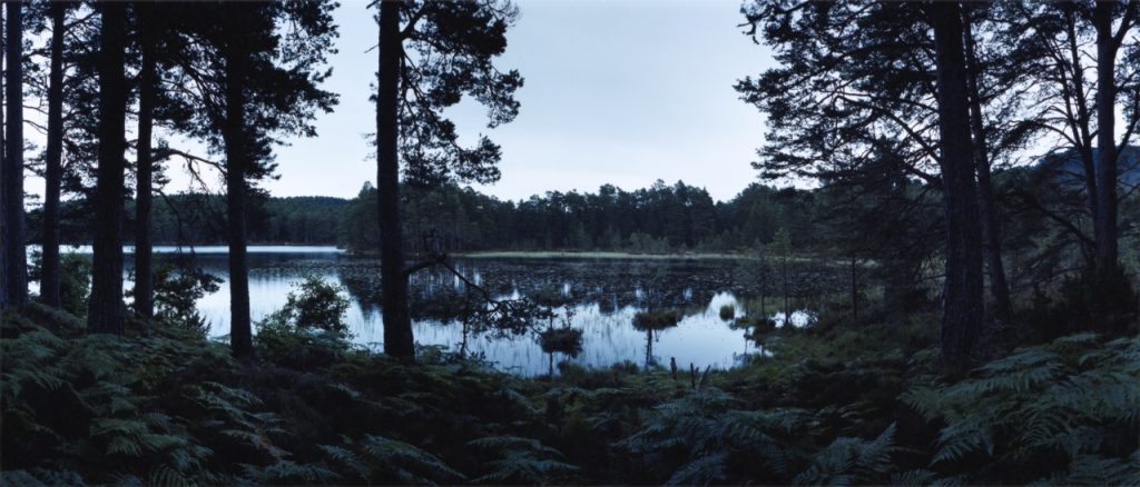 Chrystel Lebas, Re-visiting - Loch an Eileen with Nuphar pumila & Pinus - Plate n 1239 Aviemore, Rothiemurchus, August 2014 57 8.749' N 3 49.010' W