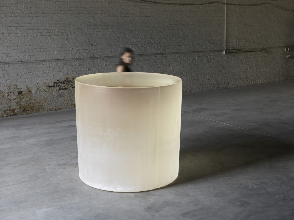 Fig 1. Roni Horn, Untitled ('She was frightened of mice, snakes, frogs, sparrows, leeches, thunder, cold water, draughts, horses, goats, red-haired humans, and black cats...'), 2013–2015