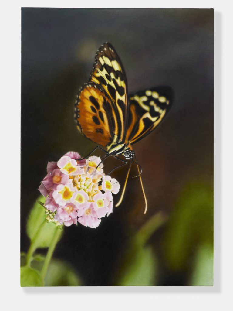 Damien Hirst, Tithorea harmonia in Lantana, 2009-2010