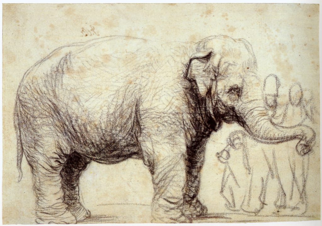 Rembrandt-van-Rijn-tekening-van-olifant-Hansken-de-beroemdste-olifant-uit-de-zeventiende eeuw-See-All-This-Art-Magazine.jpeg