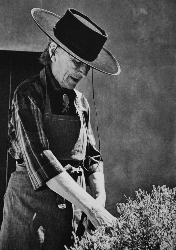 Georgia O'Keeffe, foto Robyn Lea