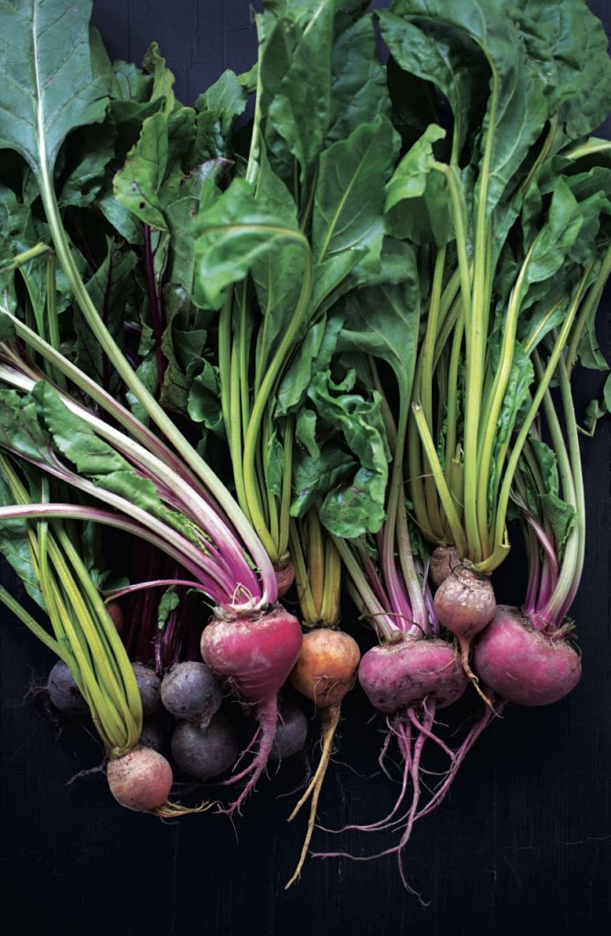 Robyn Lea, Ingredients for borscht