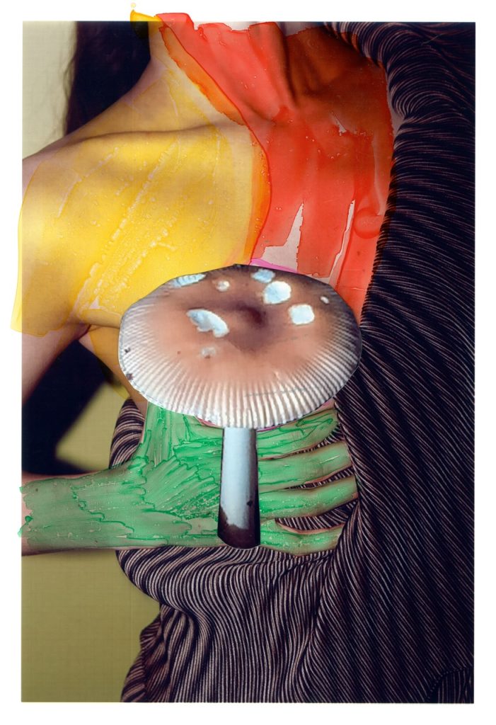 Viviane Sassen, {{Amanita Fulve, Of Mud and Lotus}} (2017)