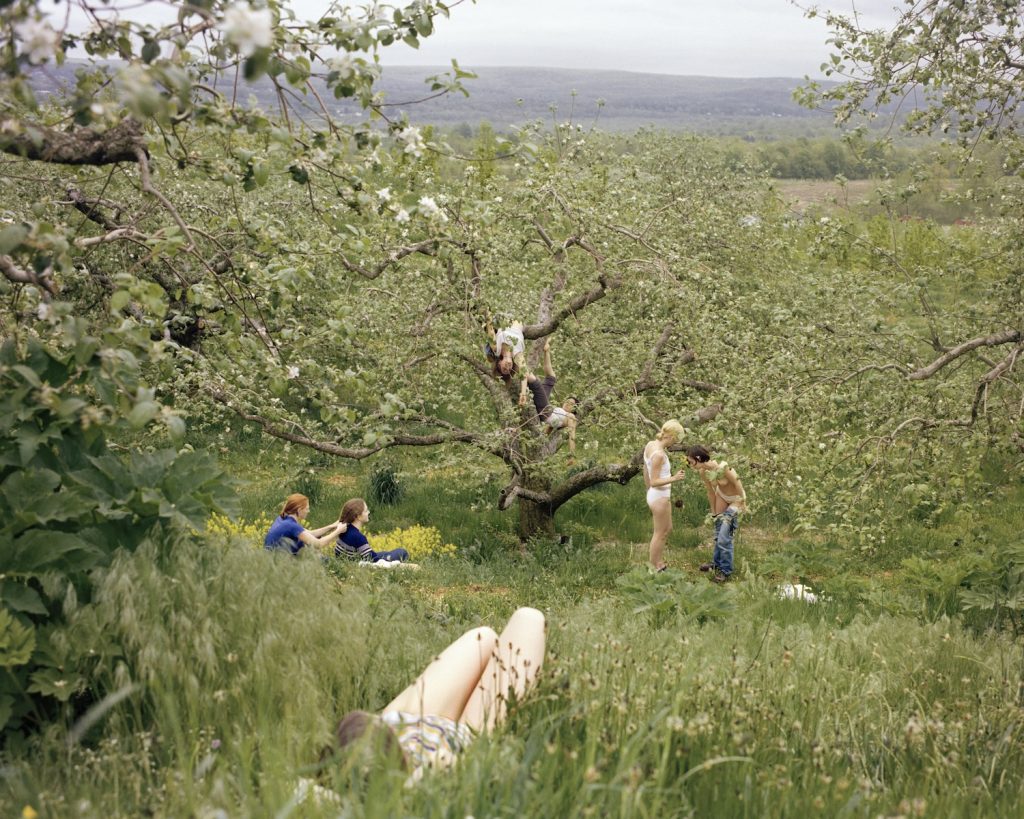 Justine Kurland, Orchard, 1998, chromogenic print, 76.2 × 101.6 cm