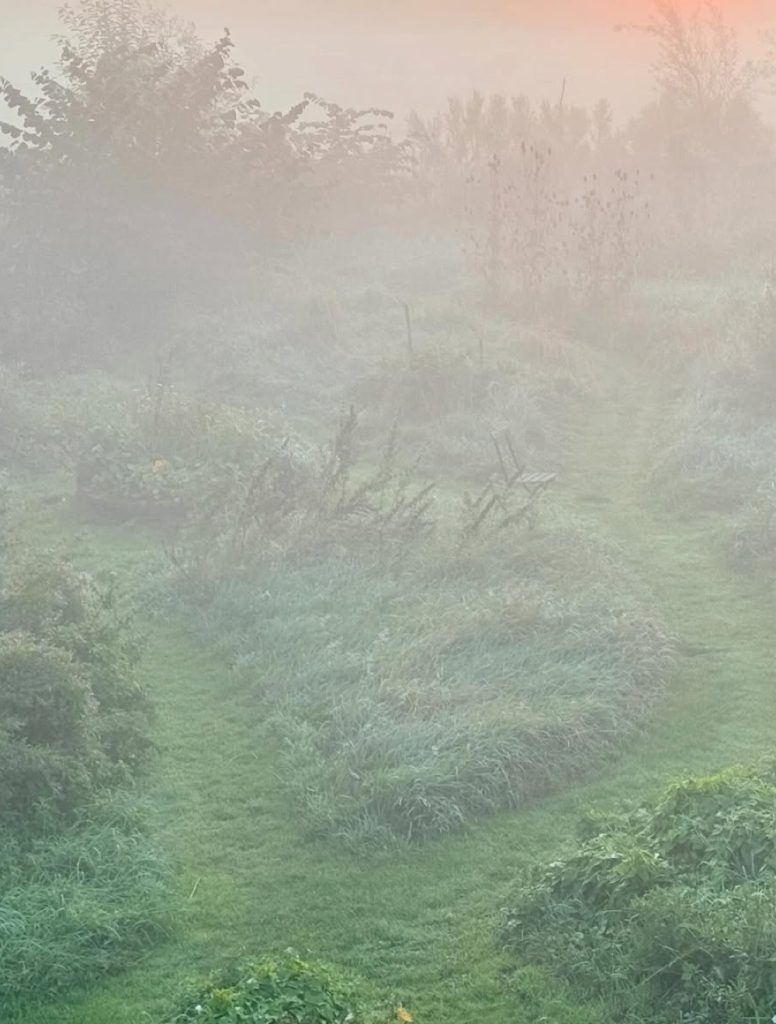 Photo by Anke Ries on August 30, 2024