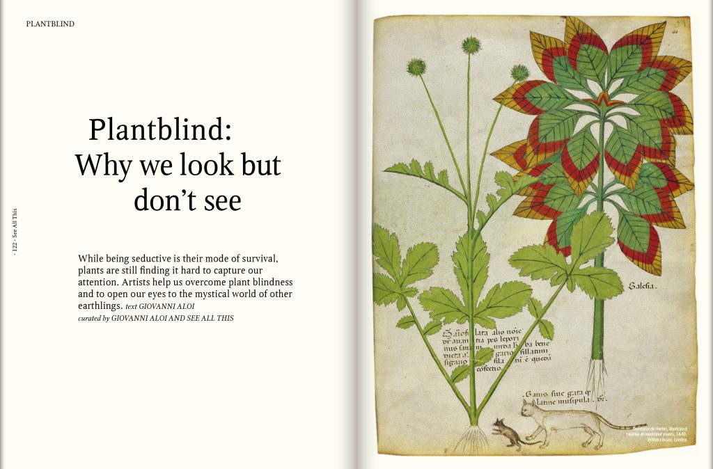 Plant blind