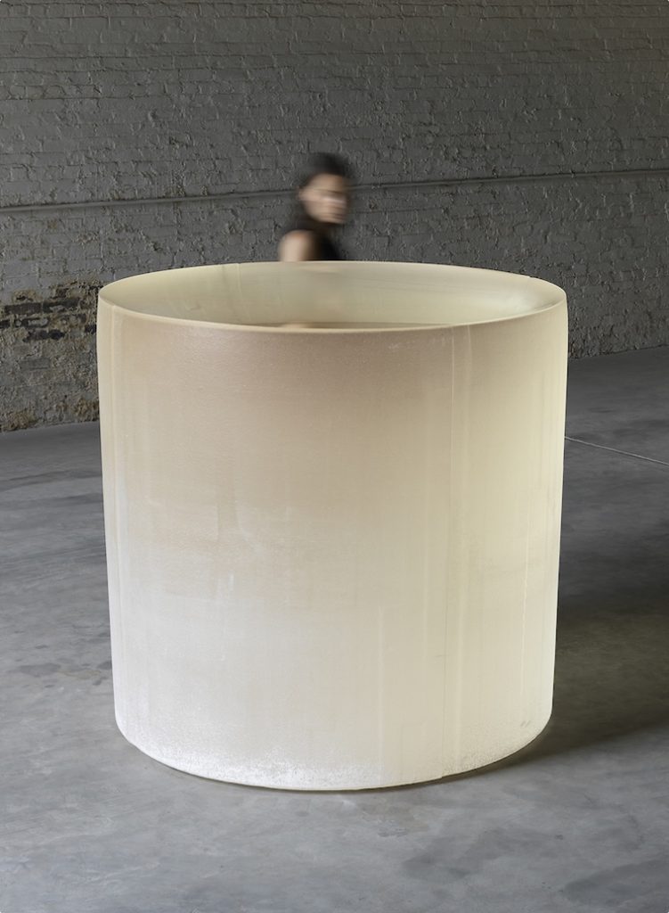 Roni Horn, Untitled ('She was frightened of mice, snakes, frogs, sparrows, leeches, thunder, cold water, draughts, horses, goats, red-haired humans, and black cats...') (2013–2015)