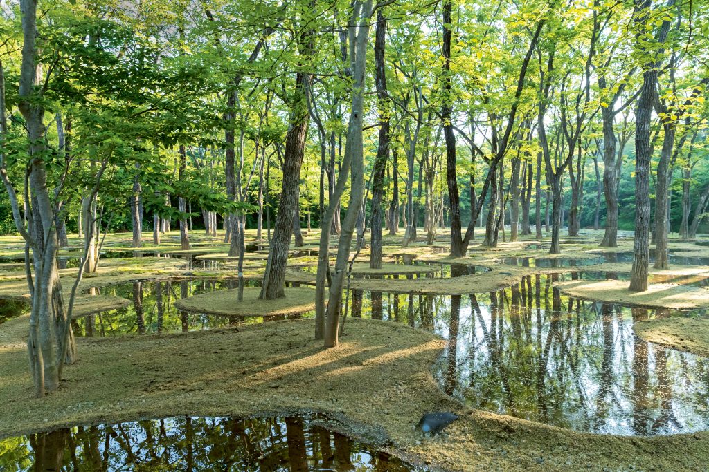Art Biotop Water Garden, door Junya Ishigami, genesteld tussen de uitlopers van het Nasu-gebergte, Japan 2018