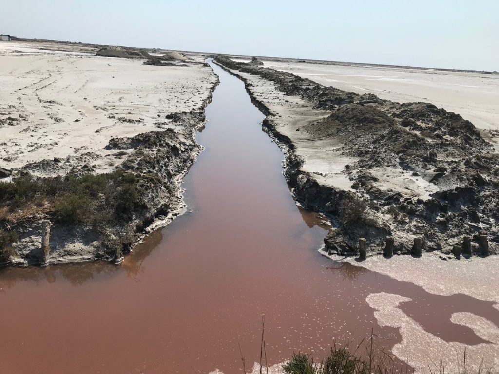 Camargue