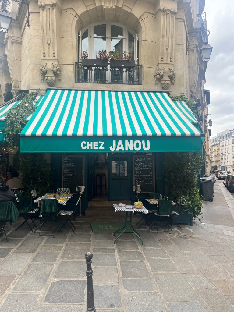 Chez Janou-See-All-This-Art-Magazine.jpeg