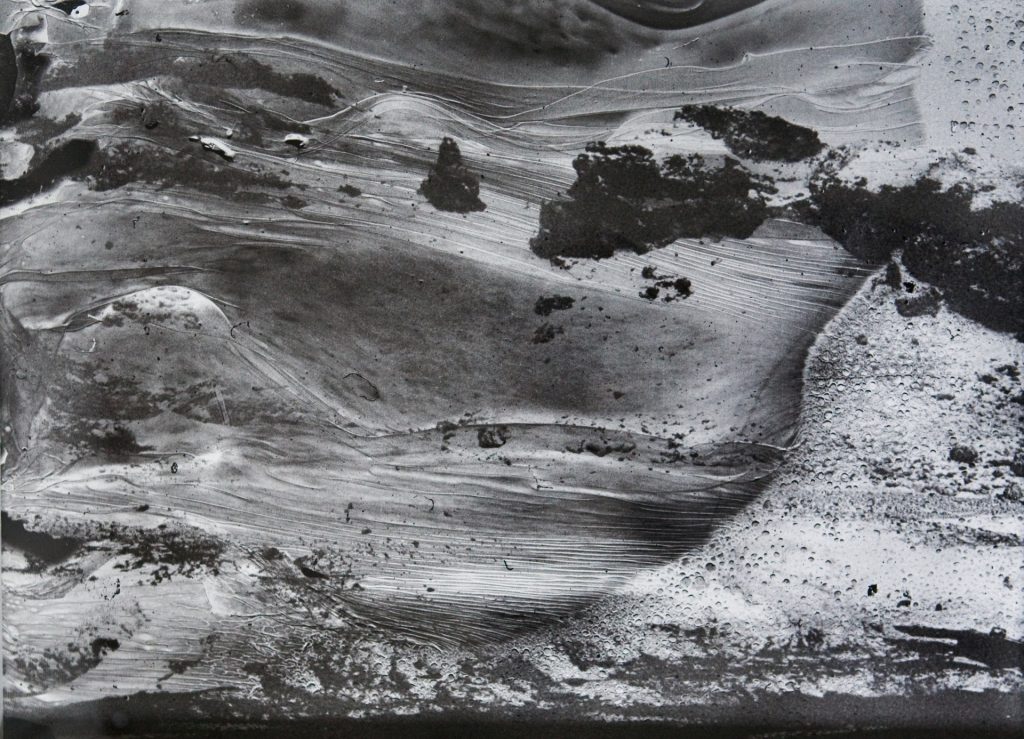Daisuke Yokota, Untitled, uit Lichen, 2014, pigment print, 37×50cm