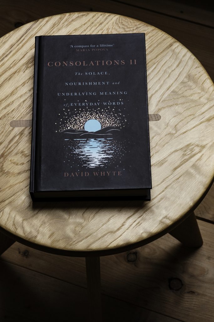 David Whyte-Consolations II-See-All-This-Magazine