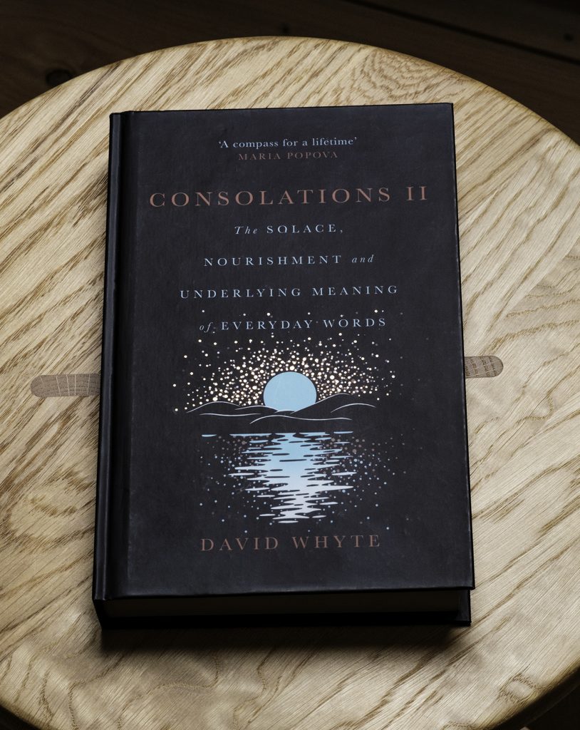 David Whyte-Consolations II-See-All-This-Magazine