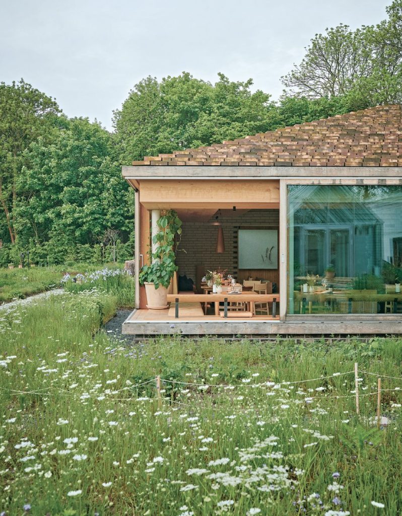 Noma
