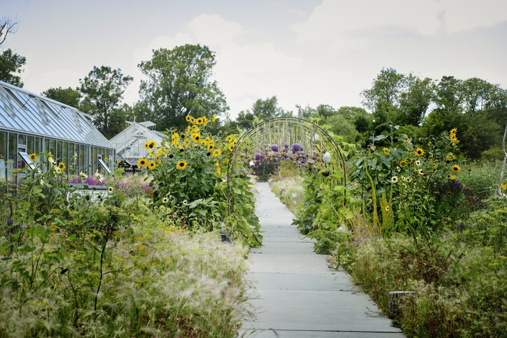 Noma’s greenhouses and Piet Oudolf’s garden