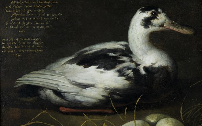 Dordrechts-Museum-Portret_van_eend-See-All-This-Art-Magazine