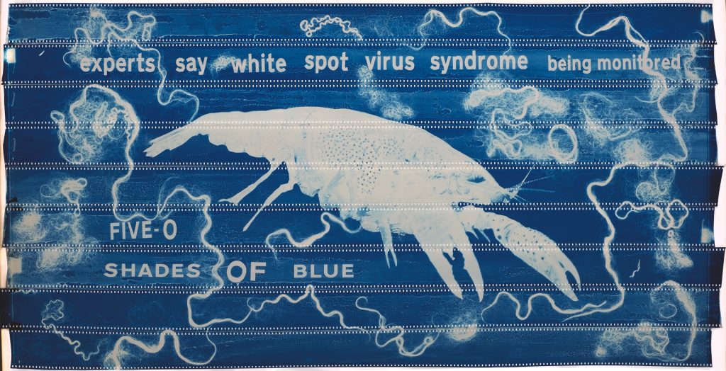 Edgar Cleijne & Ellen Gallagher, Highway Gothic, 2017-2019, 70mm cyanotype film