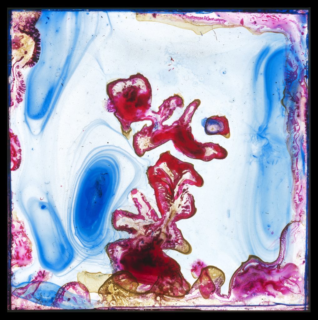 Edgar Cleijne & Ellen Gallagher, Osedax, 2010, 40 mm diapositief
