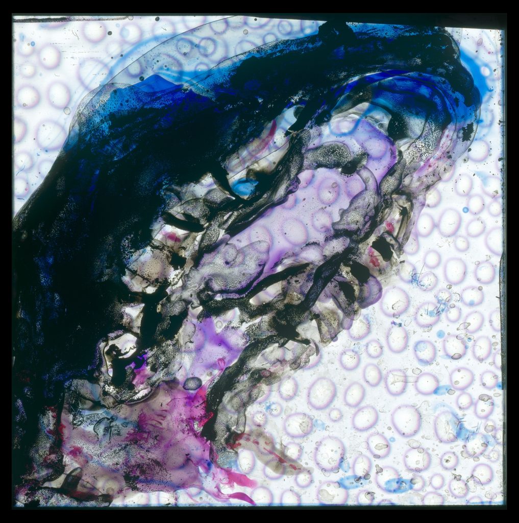 Edgar Cleijne & Ellen Gallagher, Osedax, 2010, 40 mm diapositief
