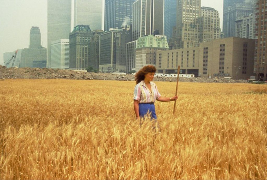 John McGrail, Agnes Denes Wheatfield-A Confrontation: Battery Park Landfill, Downtown Manhattan (with Agnes Denes in the Wheatfield), 1982