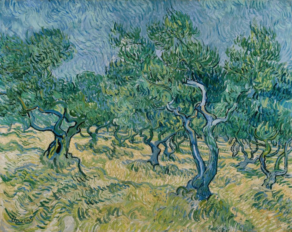 Vincent van Gogh, Olijfgaard Juni 1889