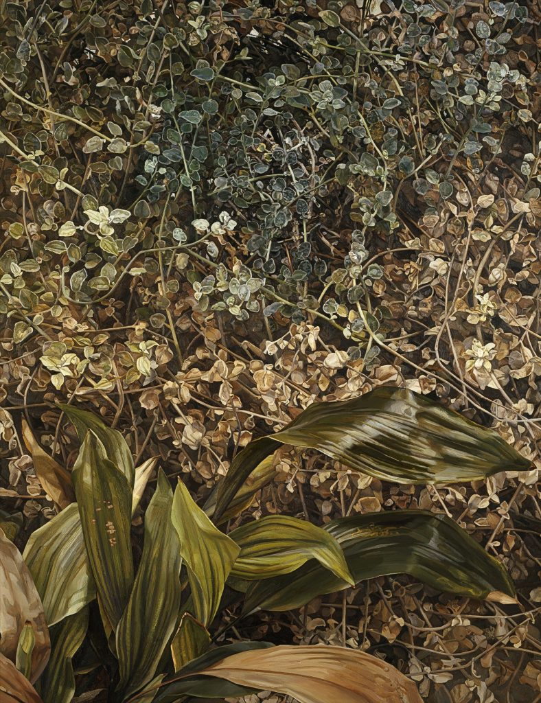 Lucian Freud, Two Plants, 1977-80, oil on canvas, 149.9 × 120 cm,Tate Modern, London