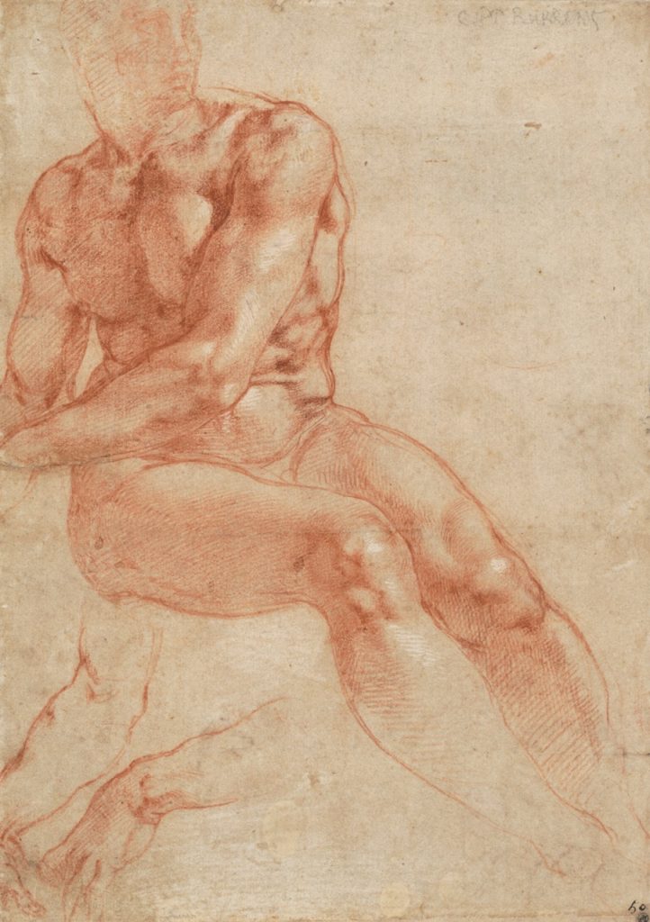 Michelangelo Buonarroti, Zittend jong mannelijk naakt (detail), ca. 1510-1511, rood en wit krijt op papier, 28 × 19 cm, Albertina Museum, Wenen