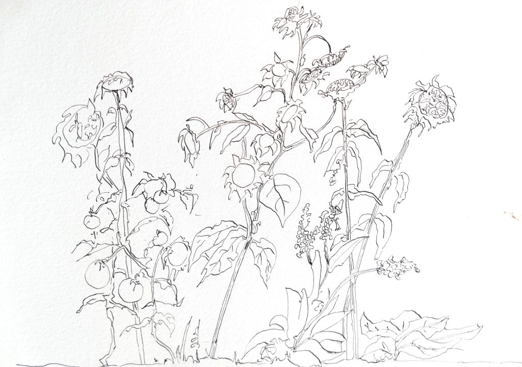 Michiel Blumenthal, Sunflowers, 2023