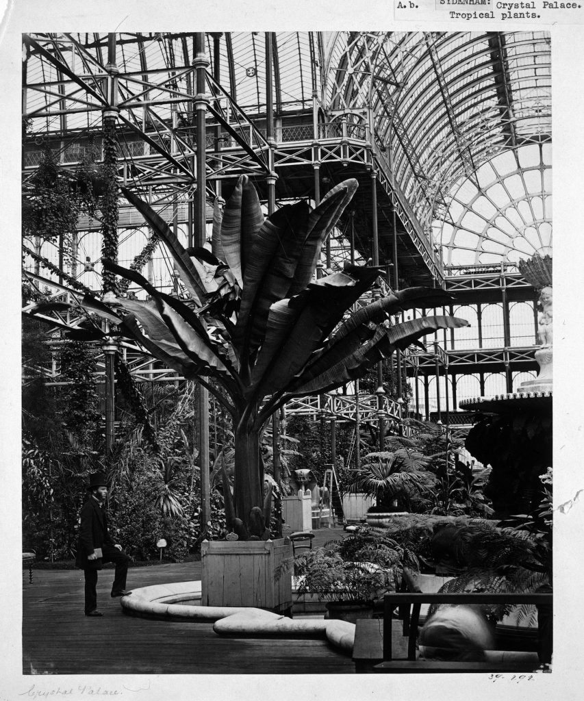 Philip Delamotte, Interieur van Crystal Palace, Londen, 1852