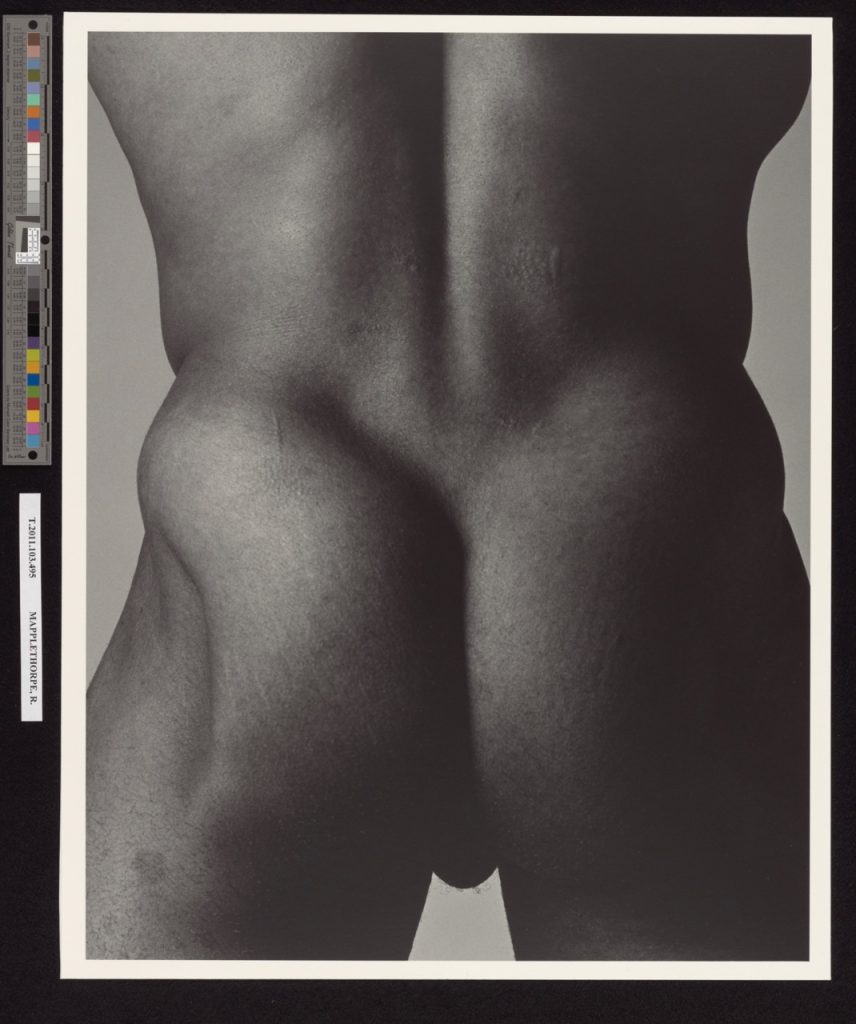 Robert Mapplethorpe, {{Lowell Smith}} (1981)