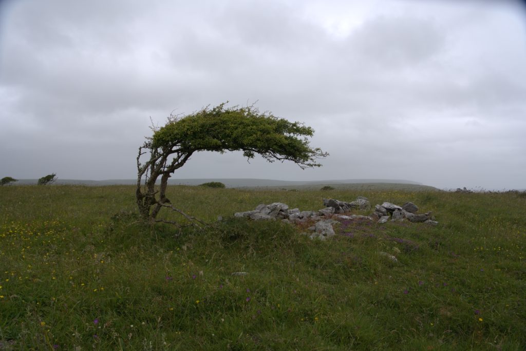 The Burren, Country Clare, Ireland, July 2024