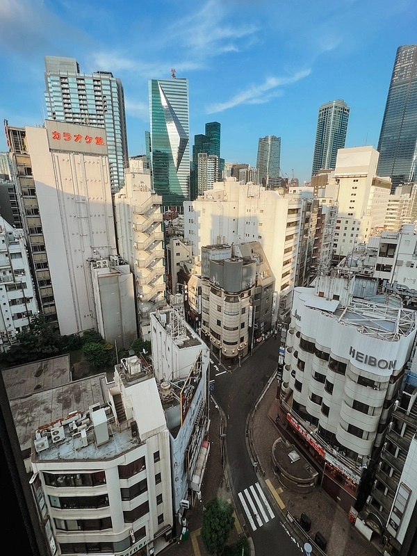 Tokyo-See-All-This-Art-Magazine.jpeg