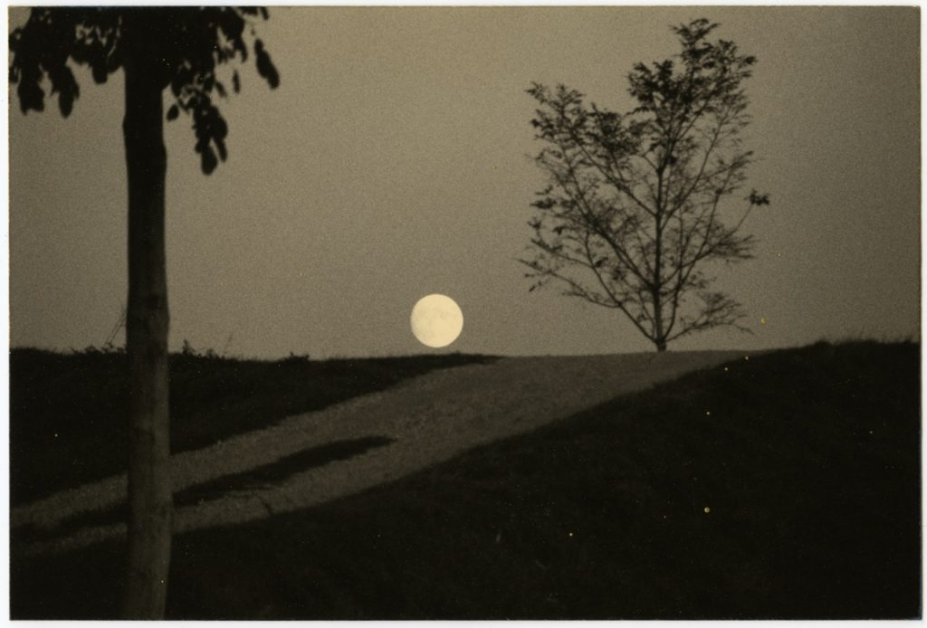 Yamamoto Masao, Nakazora #1079, 2003, gelatin silver print with mixed media, 11.4 × 17.1 cm