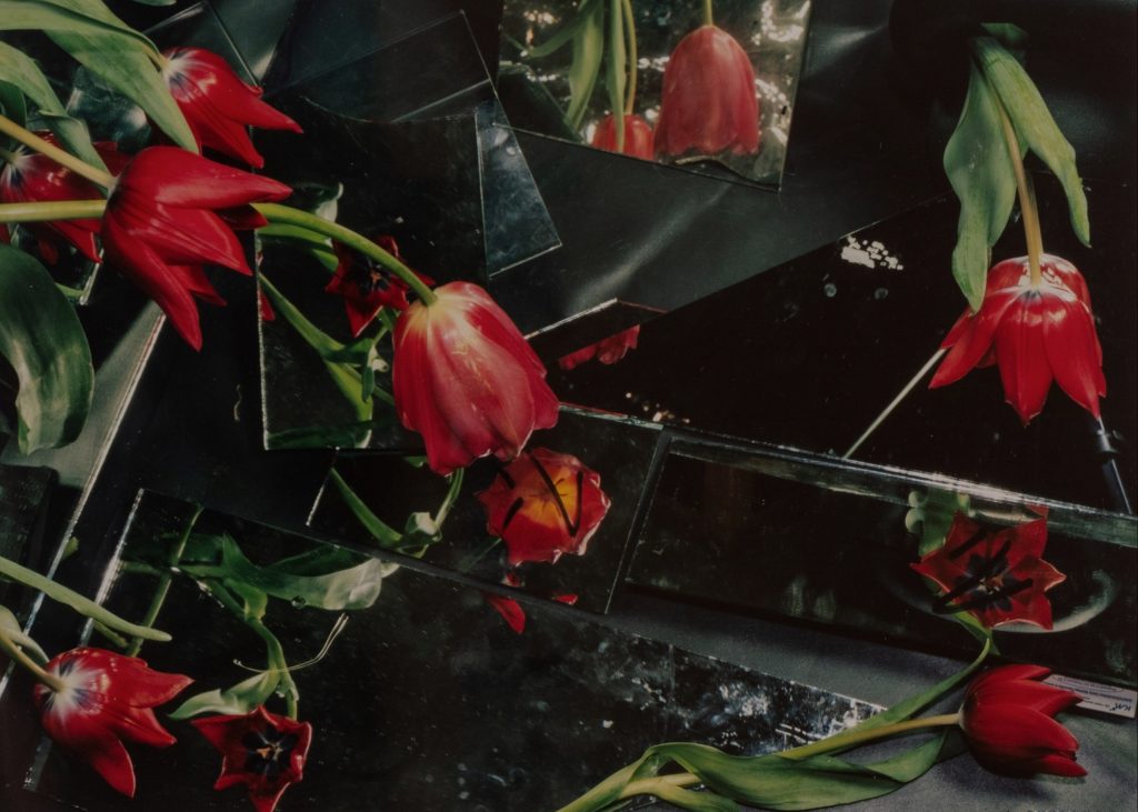 Ketuta Alexi-Meskhishvili, Tulip Season for Henri (2024)