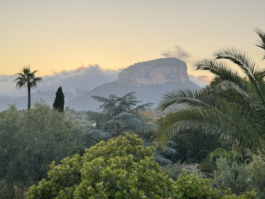 View from Palmyra Sculpture Centre in Mallorca