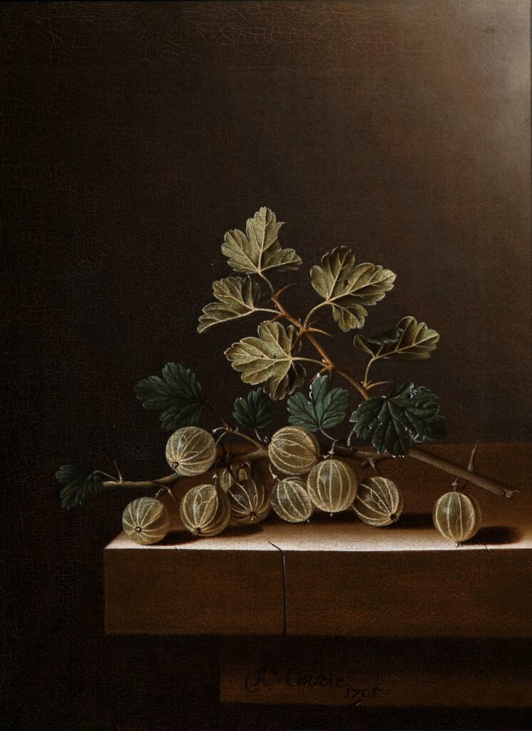 Adriaen Coorte, Green Gooseberries on a Plinth, 1705, oil on canvas, 31,4 x 24 cm, Collection Het Noordbrabants Museum, on loan from the JK Art Foundation