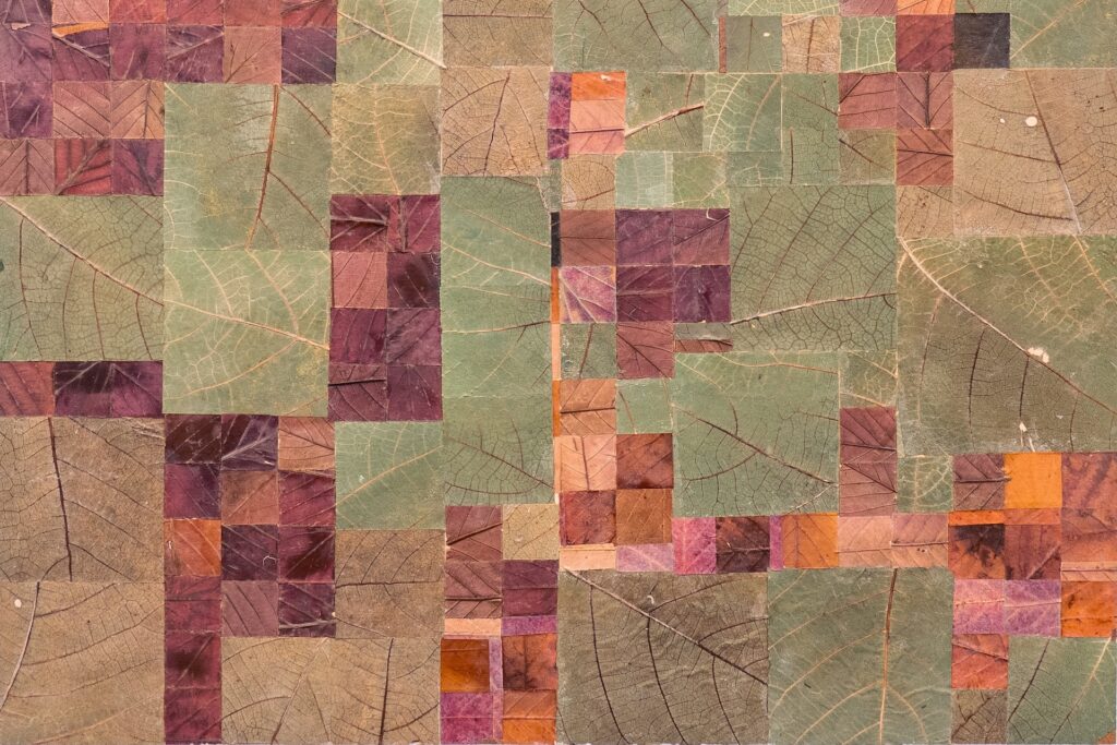 Milah van Zuilen, Vijgenbomen en wilde kersenbomen, 50 x 50 cm, gedroogde bladeren op hout, 2025.