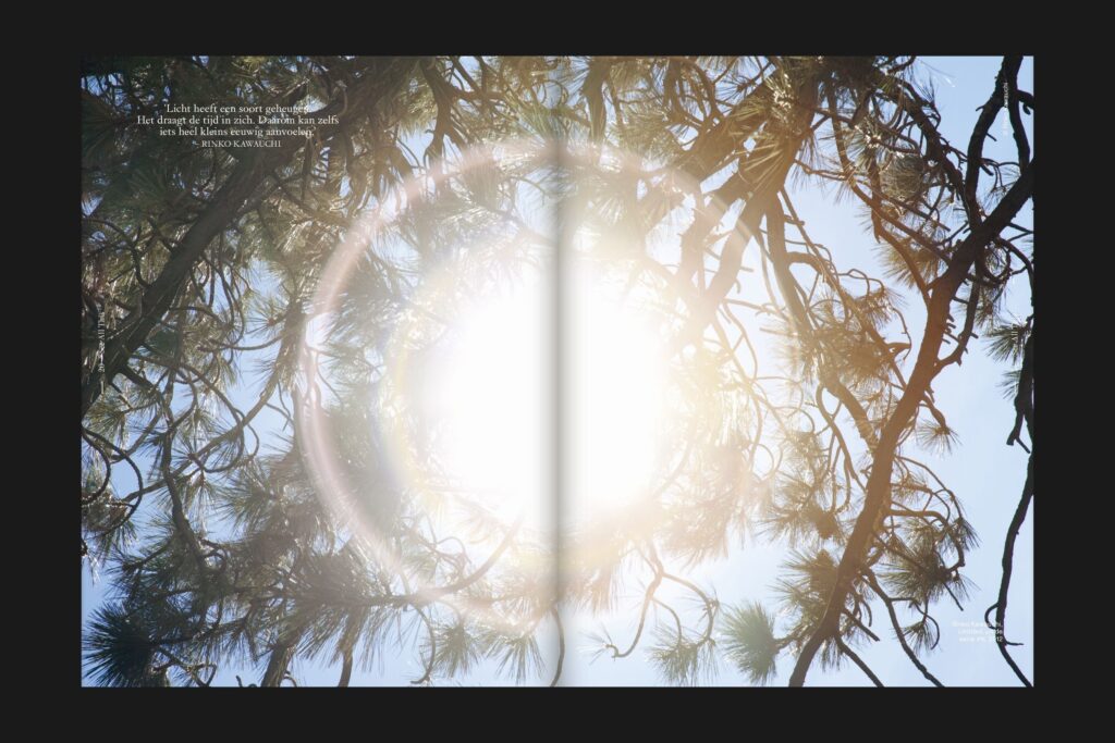 Spread See All This #39