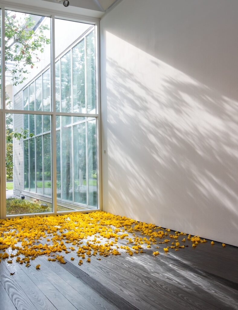 The Menil Collection