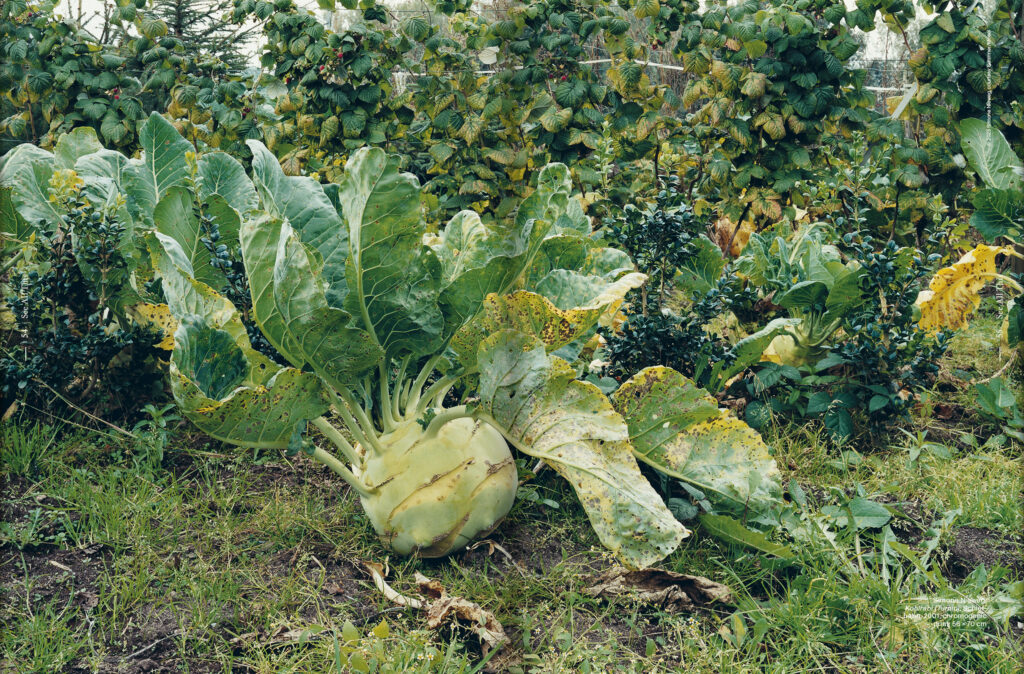 See All This Magazine no.40 - Cooking is Caring with Mory Sacko