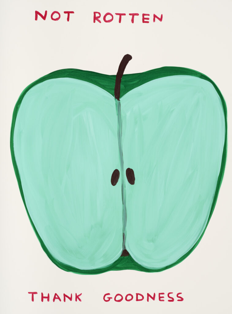 David Shrigley, Not Rotten Thank Goodness