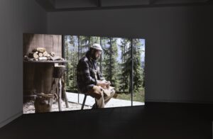 David Claerbout The Woodcarver and the Forest