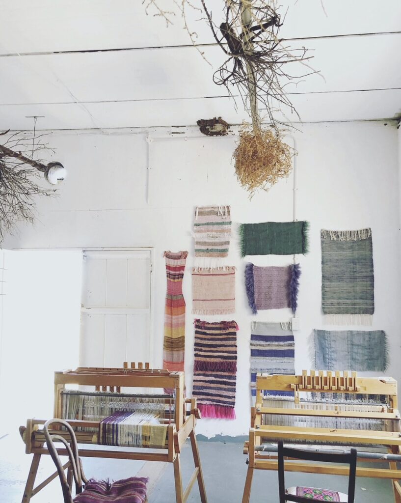 In het atelier van Frances van Hasselt, Prince Albert, Zuid-Afrika