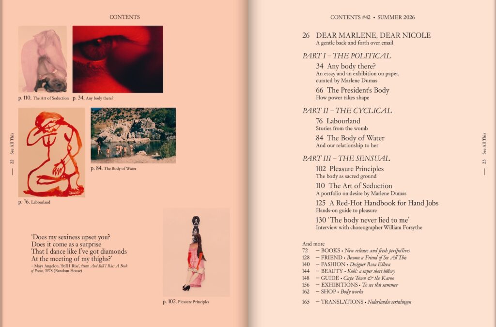 See All This Art Magazine issue 42 with Marlene Dumas