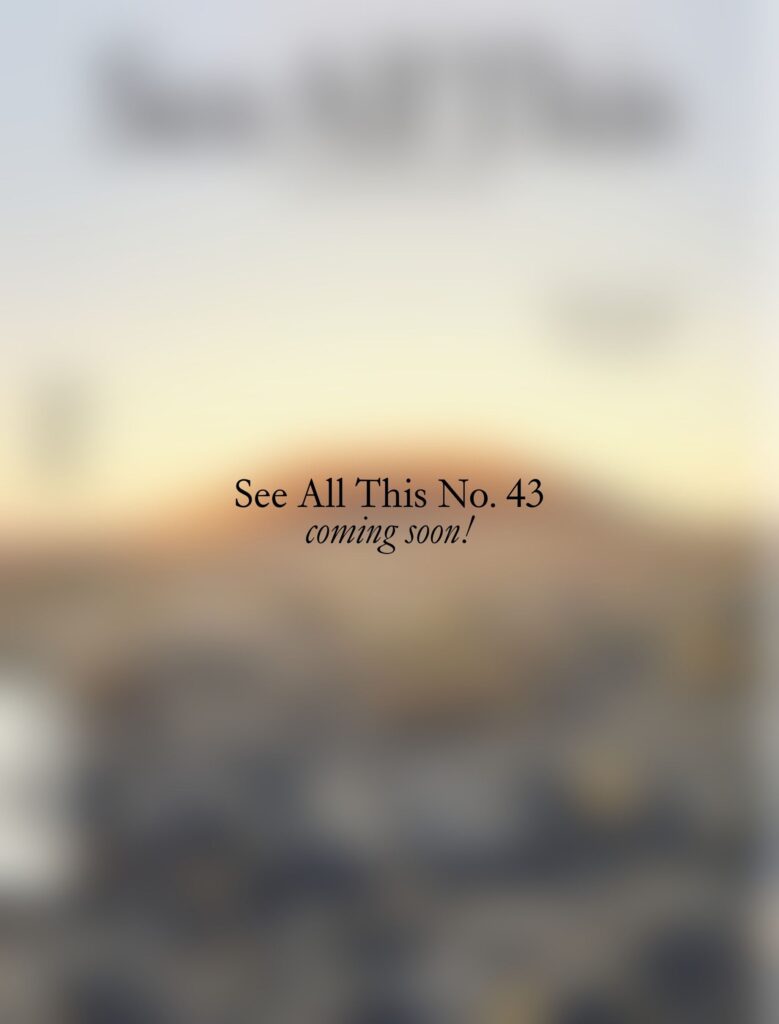 Blurred Cover - See All This #43