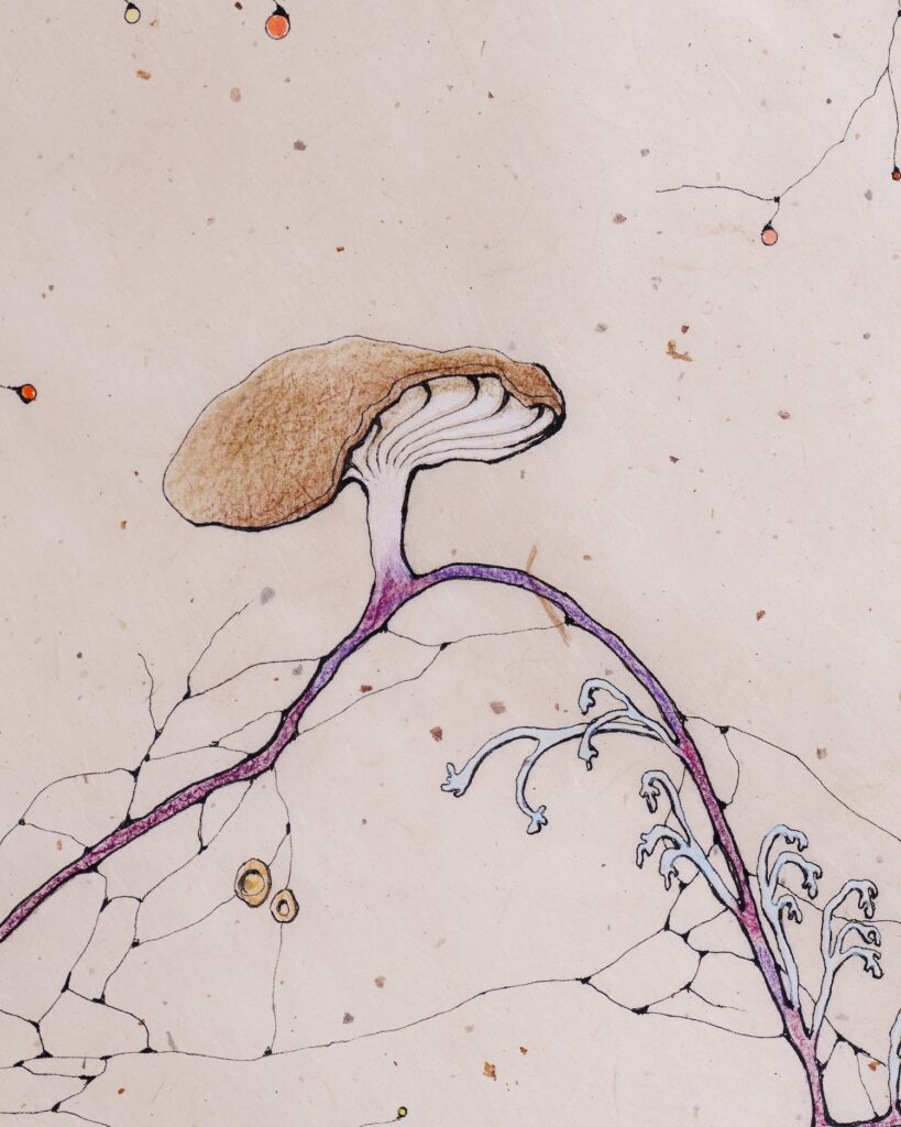 Kika Notten, detail van Rootmap I, 2025
