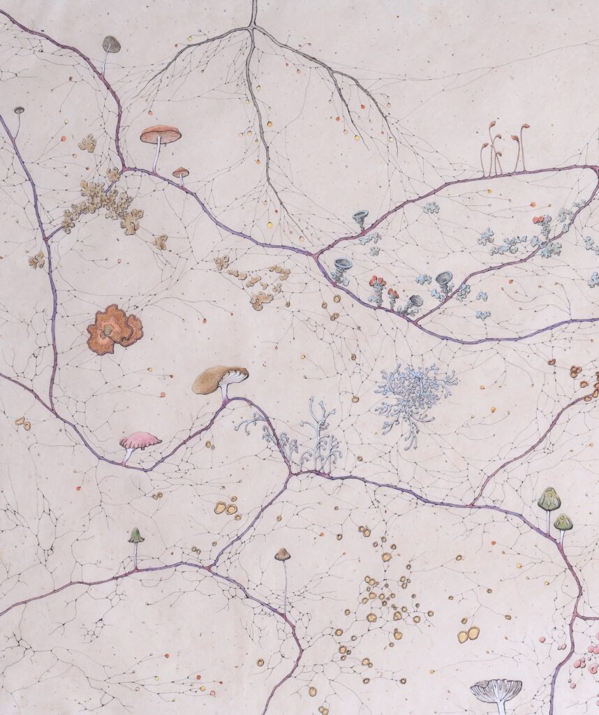 Kika Notten, detail van Rootmap I, 2025